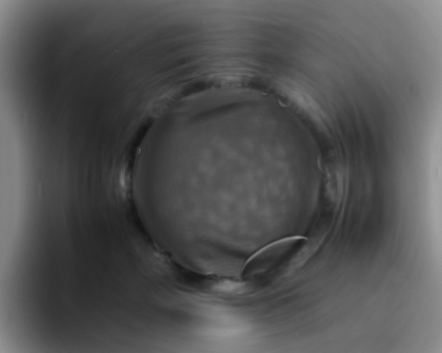 X0000092050718200709262009