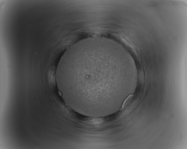 X0000092050719200709262009