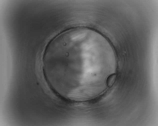 X0000092050721200709262009