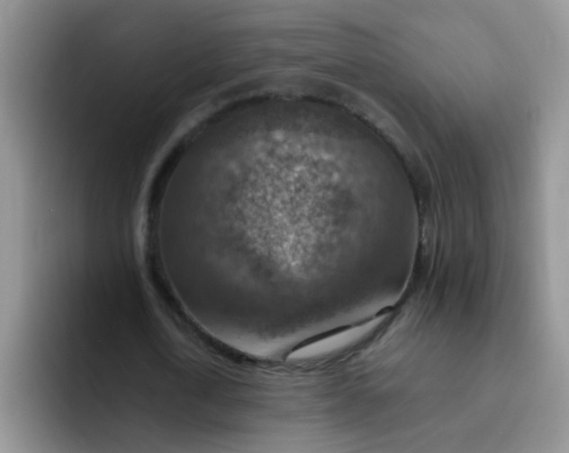 X0000092050722200709262009