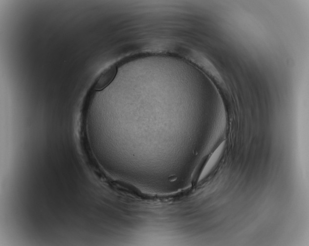 X0000092050724200709262009