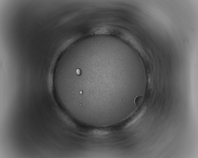 X0000092050725200709262009