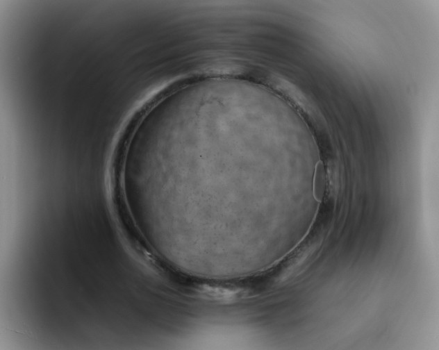 X0000092050726200709262009