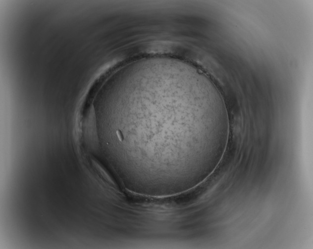 X0000092050727200709262009