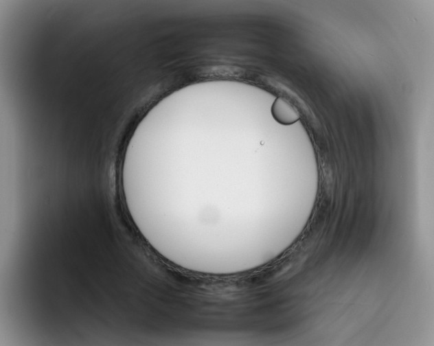 X0000092050729200709262009