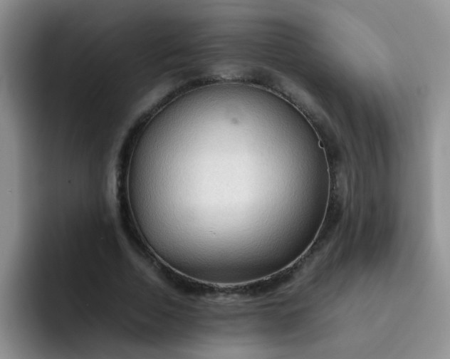 X0000092050730200709262009