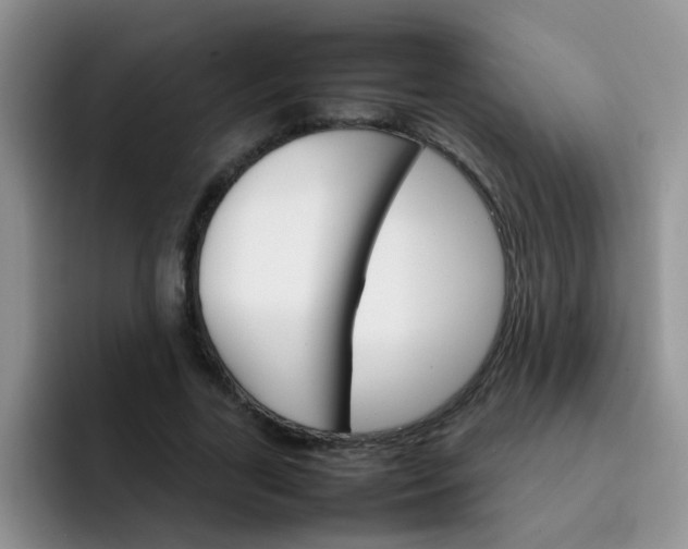 X0000092050731200709262009