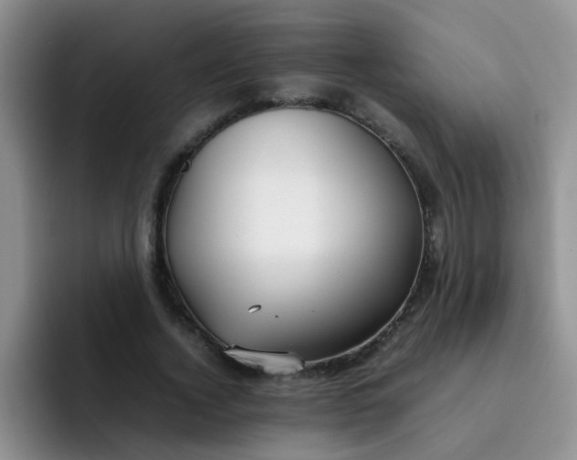 X0000092050732200709262009