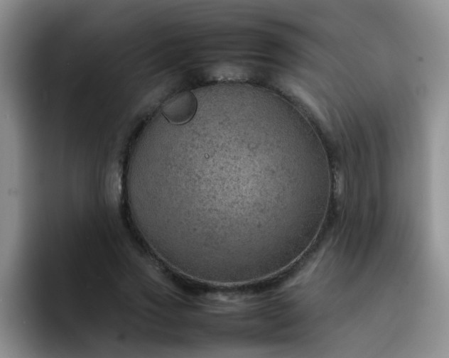 X0000092050733200709262009