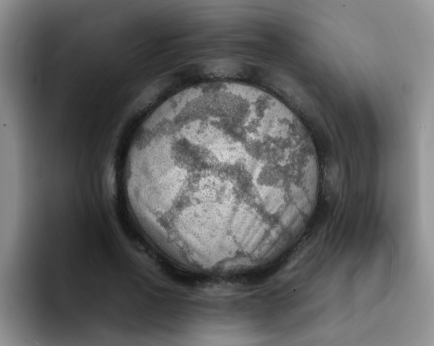 X0000092050734200709262009