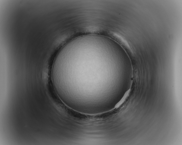 X0000092050736200709262009