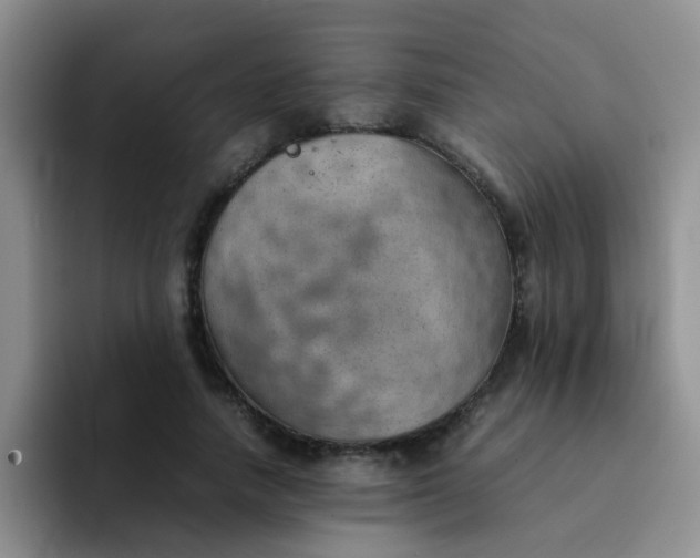 X0000092050738200709262009