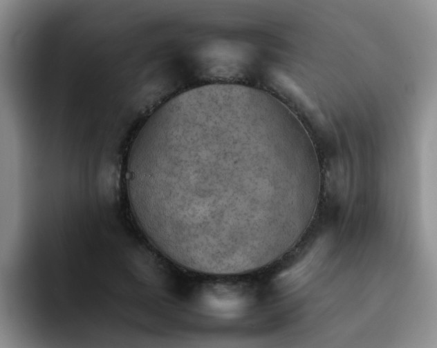 X0000092050739200709262009