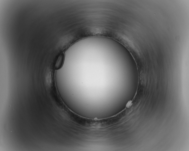 X0000092050740200709262009