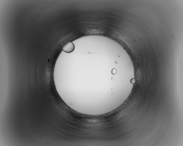 X0000092050741200709262009