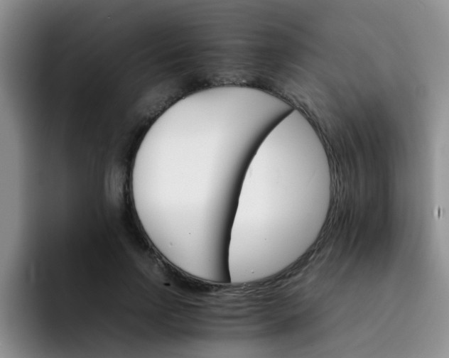 X0000092050742200709262009