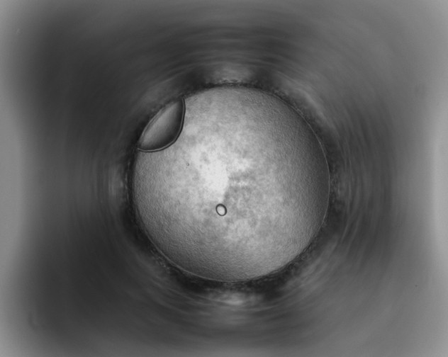 X0000092050743200709262009