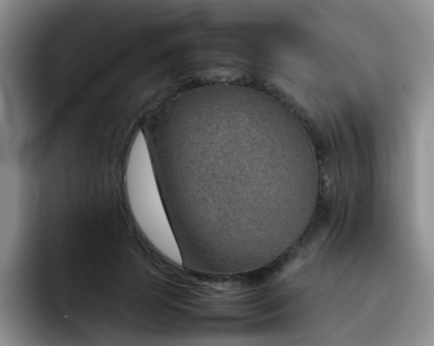 X0000092050745200709262009