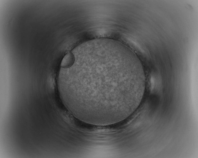 X0000092050746200709262009