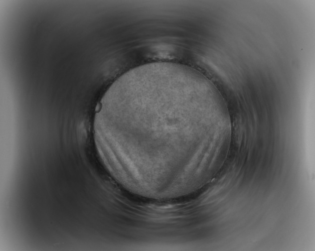 X0000092050747200709262009