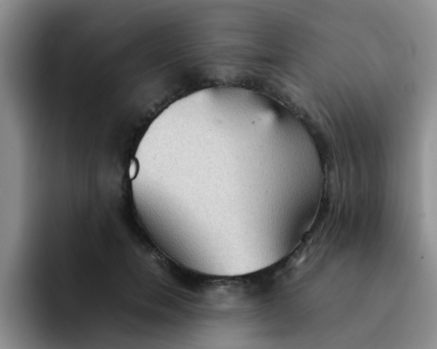 X0000092050750200709262009