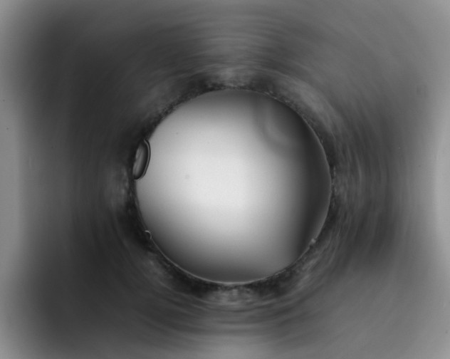 X0000092050752200709262009