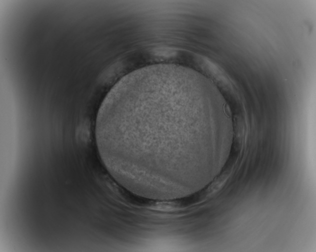 X0000092050758200709262009