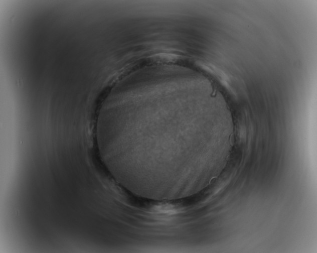 X0000092050759200709262009