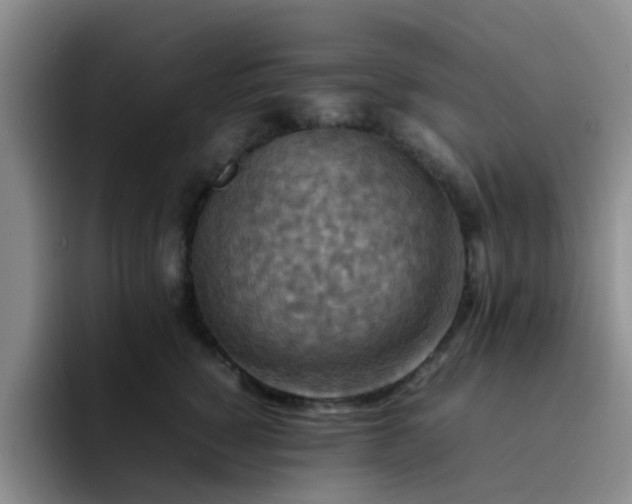 X0000092050760200709262009