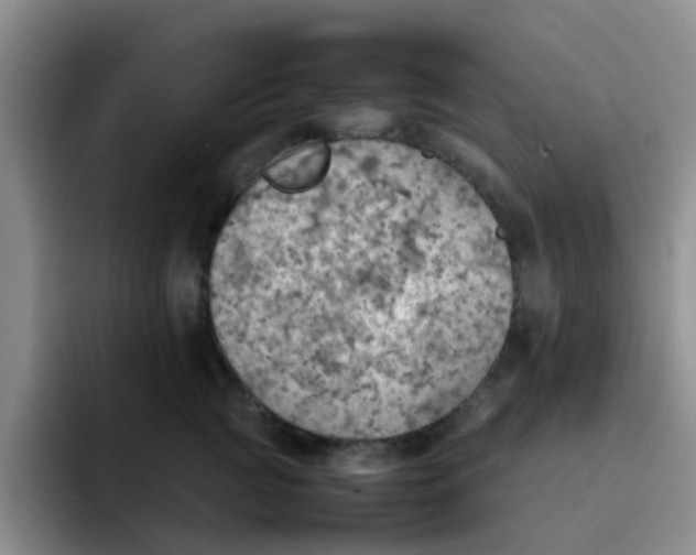 X0000092050761200709262009