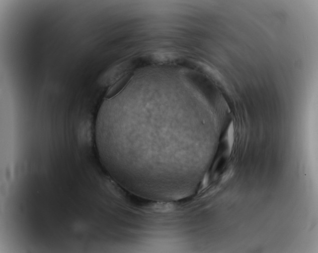 X0000092050762200709262009