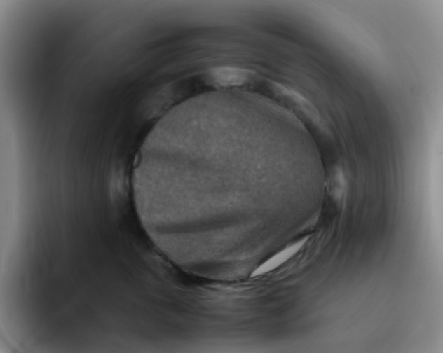 X0000092050763200709262009