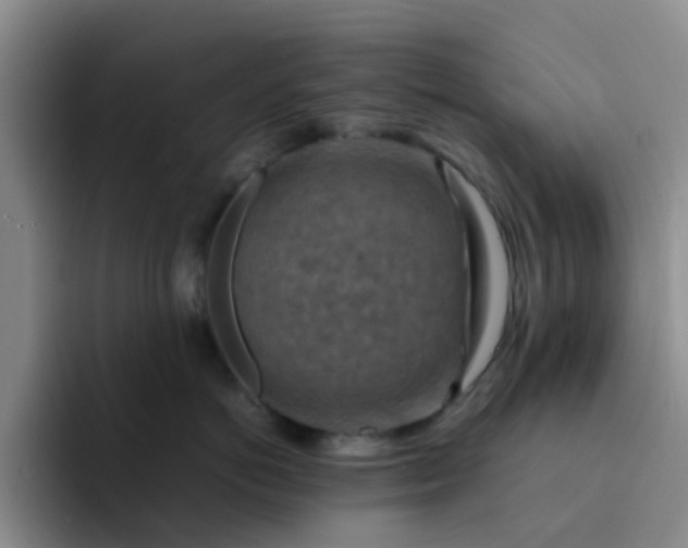 X0000092050766200709262009