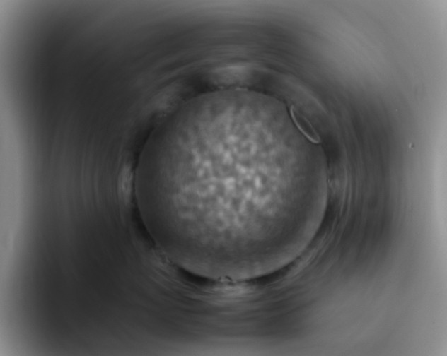 X0000092050767200709262009