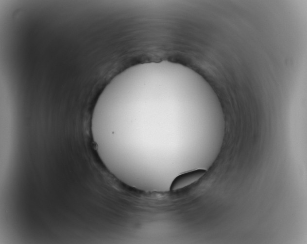 X0000092050768200709262009