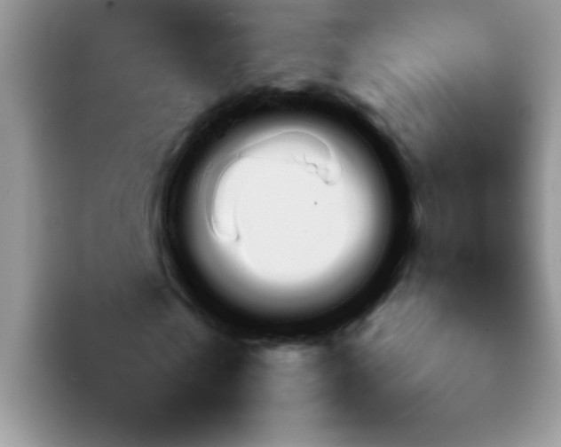 X0000092050769200709262009