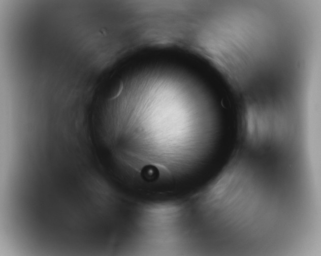 X0000092050770200709262009