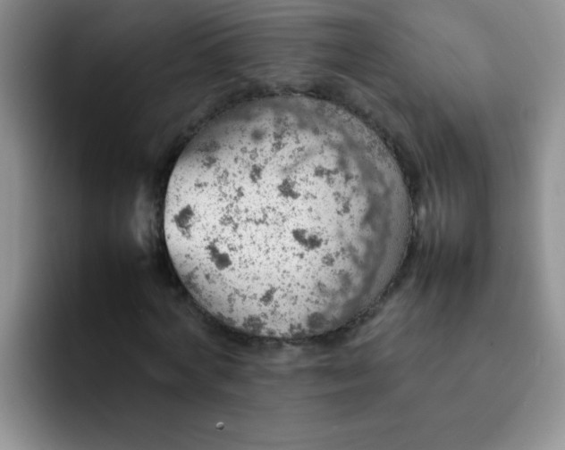 X0000092050772200709262009