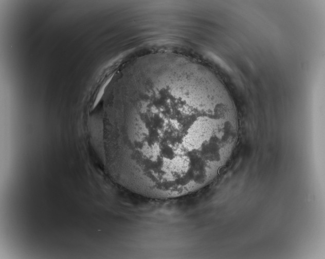 X0000092050775200709262009