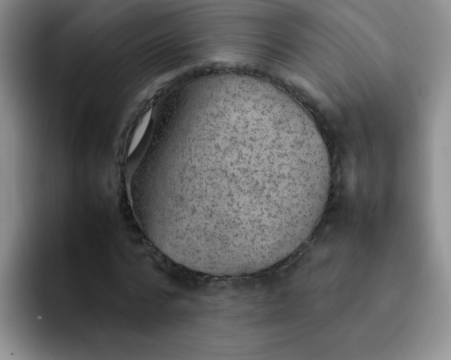 X0000092050776200709262009