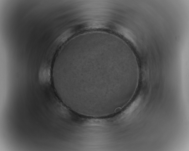 X0000092050777200709262009