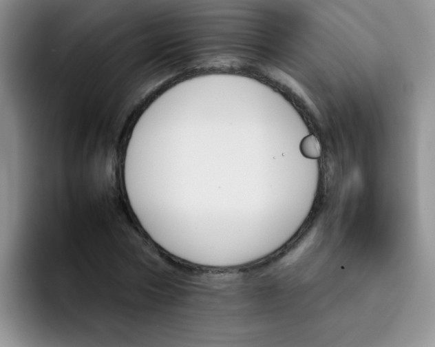 X0000092050778200709262009