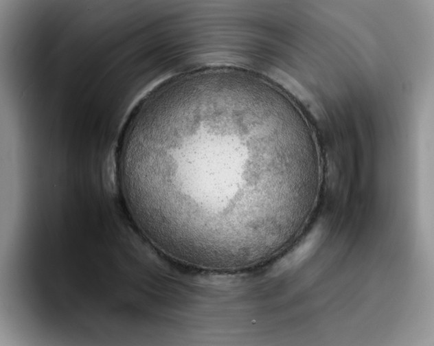 X0000092050782200709262009