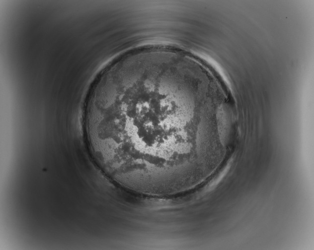 X0000092050783200709262009