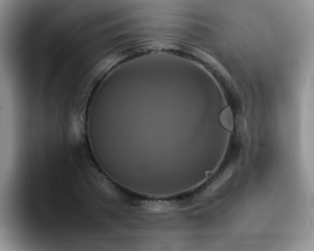 X0000092050785200709262009