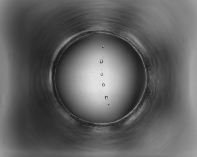 X0000092050788200709262008