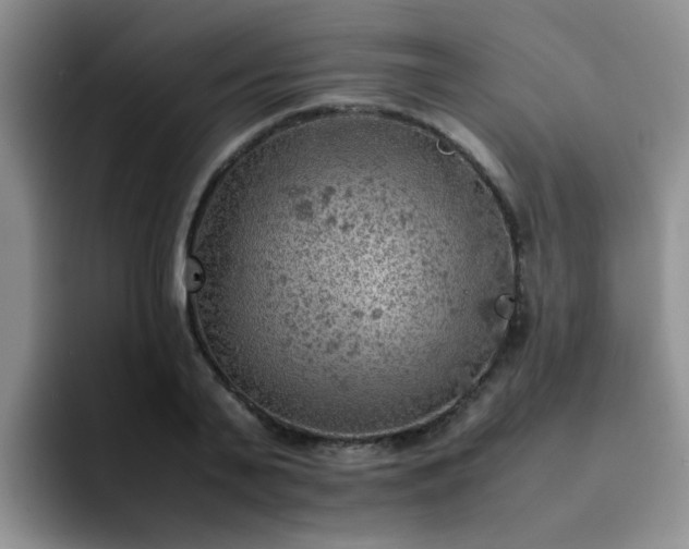 X0000092050791200709262008