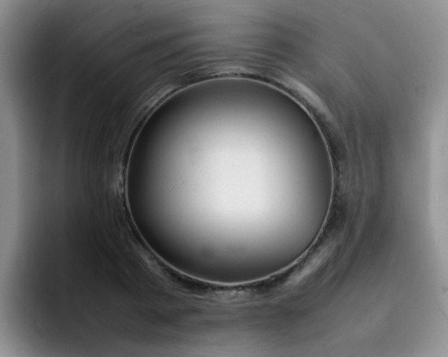 X0000092050793200709262008