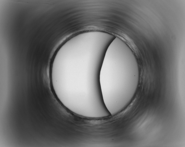 X0000092050796200709262008