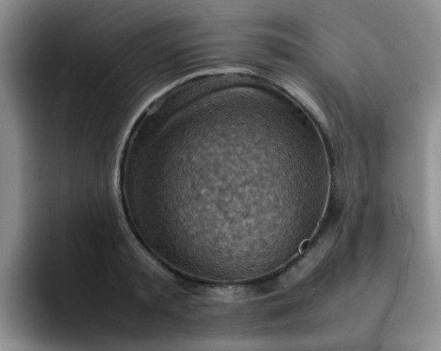 X0000092050797200709262008